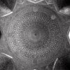 Peter Sanders - Dome of Masjid I Iman Isfahan Iran 21.5ion x 21 copy Shaza Collection £150.00