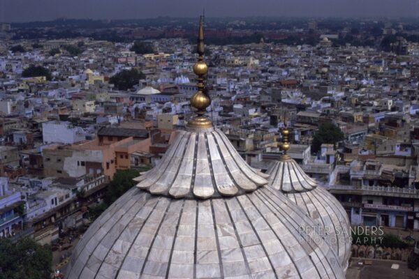 Peter Sanders - india 14