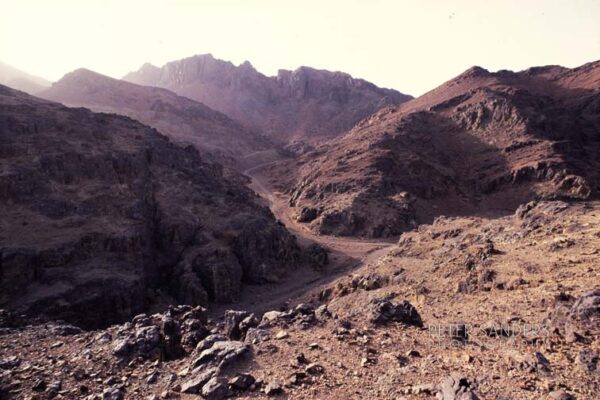 Peter Sanders - madinah 23
