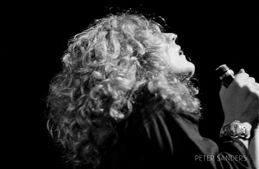 Peter Sanders - b BW Robert Plant Of Led Zeppelin 12b RE SCAN Farrah 8bit FINAL copy